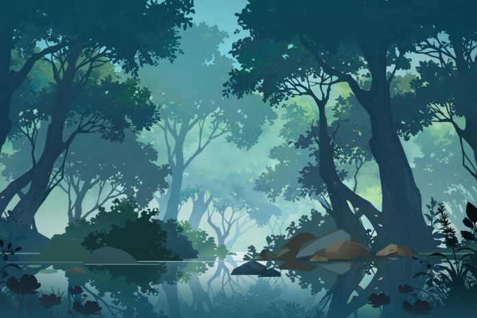 Bosque Nativo Bosque Nativo